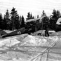Fly-1933